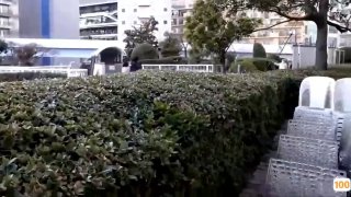 《黄色三级大片》免费播放-免费追剧在线观看 - 免费电视剧